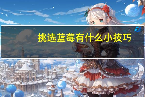 挑选蓝莓有什么小技巧