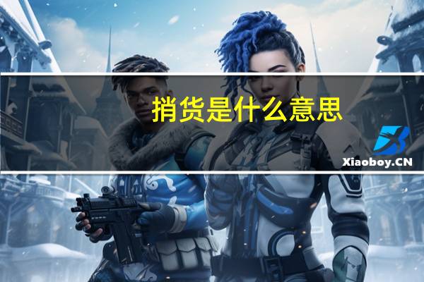 捎货是什么意思