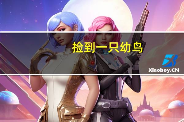 捡到一只幼鸟,怎么喂