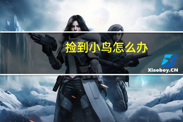 捡到小鸟怎么办