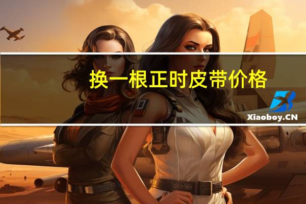 换一根正时皮带价格