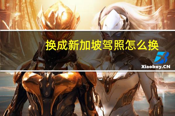 换成新加坡驾照怎么换