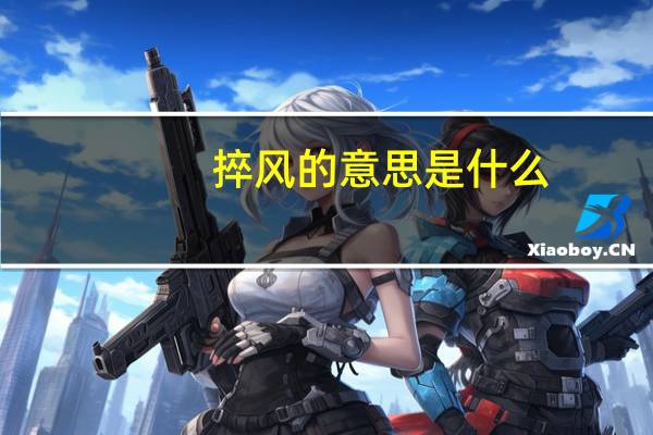 捽风的意思是什么