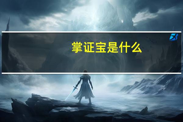掌证宝是什么