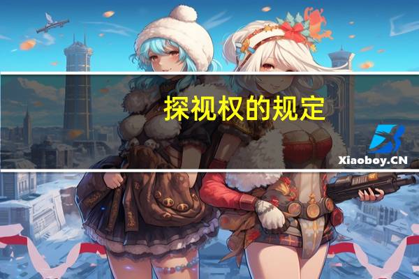 探视权的规定