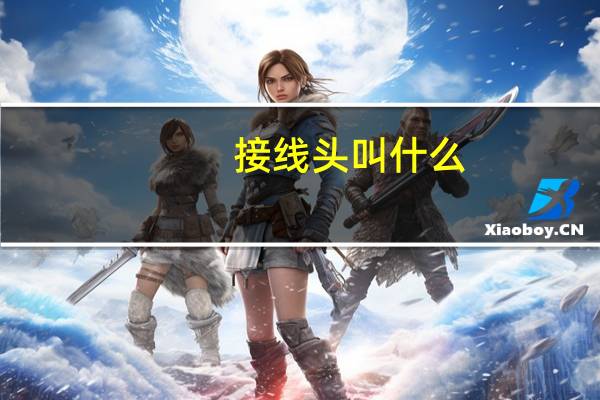 接线头叫什么