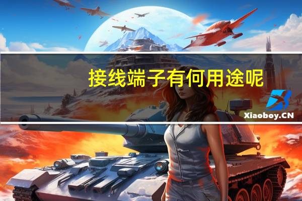 接线端子有何用途呢