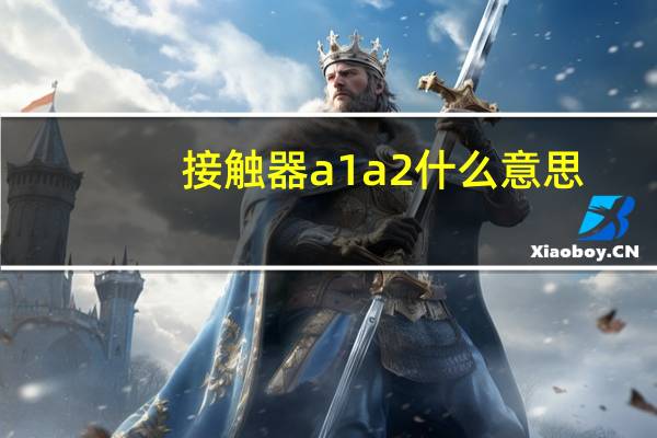 接触器a1a2什么意思