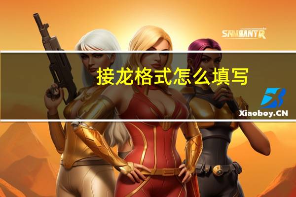 接龙格式怎么填写