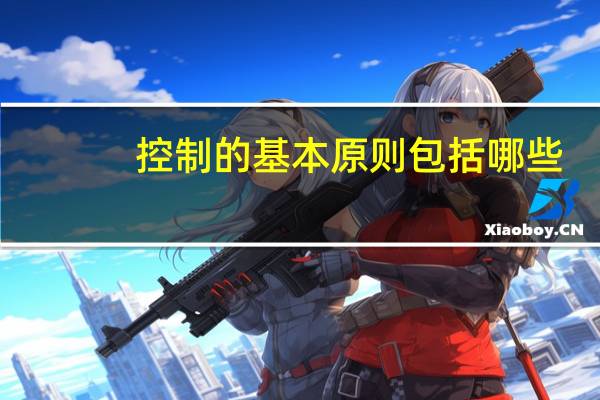 控制的基本原则包括哪些