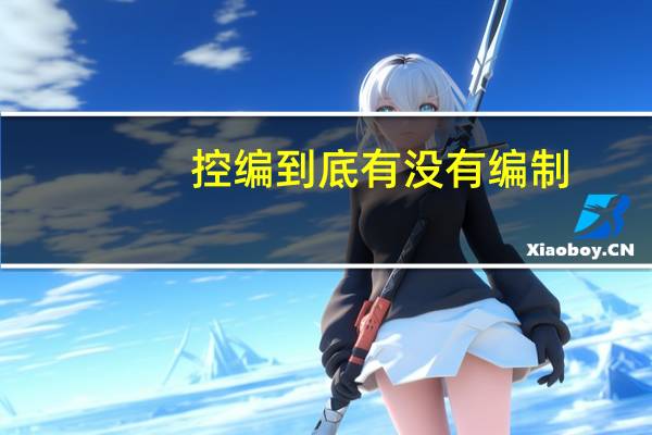 控编到底有没有编制
