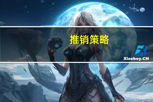 推销策略