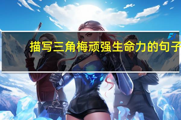 描写三角梅顽强生命力的句子