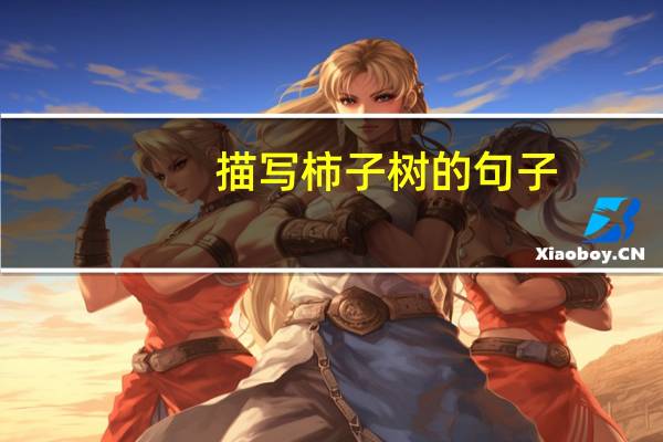 描写柿子树的句子