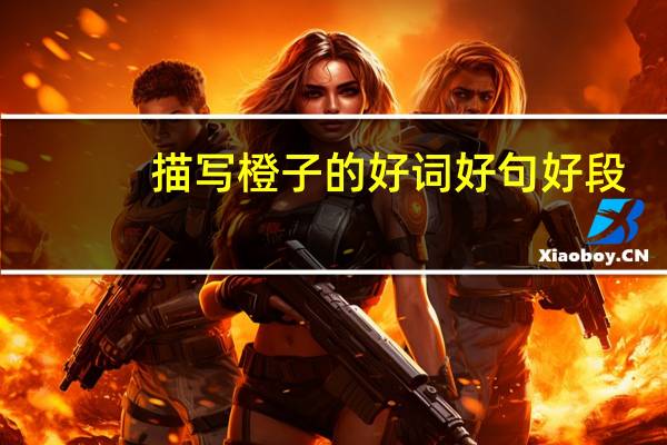描写橙子的好词好句好段
