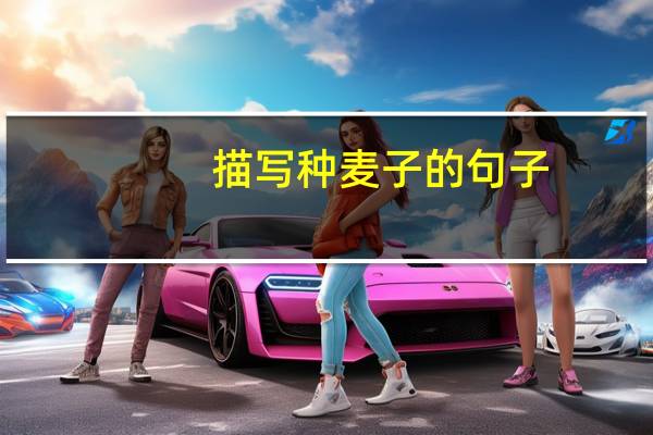 描写种麦子的句子