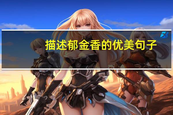 描述郁金香的优美句子
