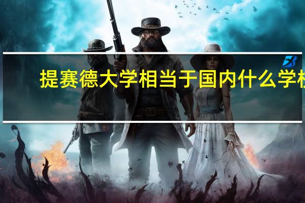 提赛德大学相当于国内什么学校