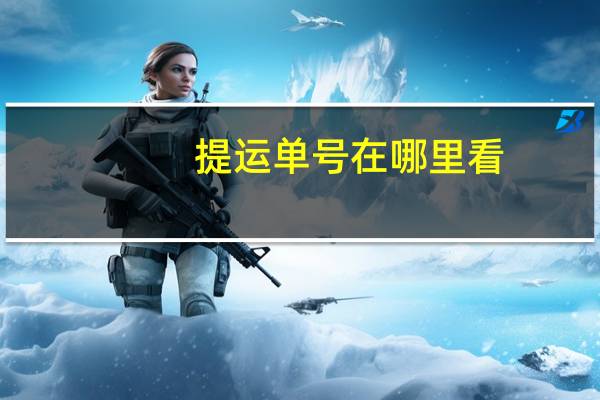 提运单号在哪里看