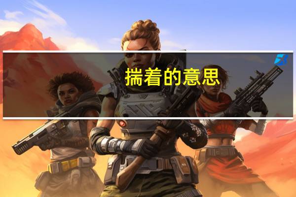 揣着的意思