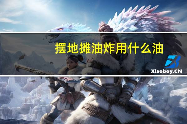 摆地摊油炸用什么油