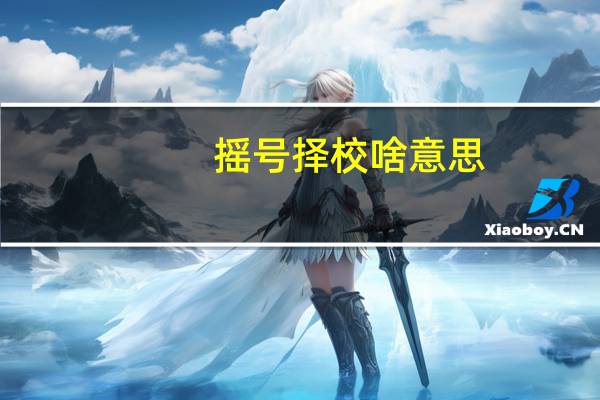 摇号择校啥意思