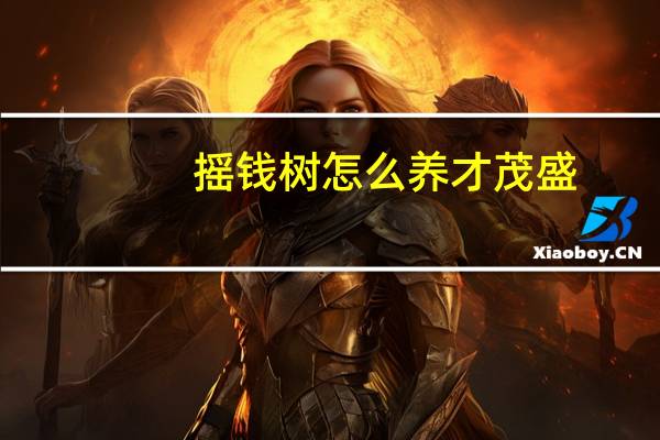 摇钱树怎么养才茂盛