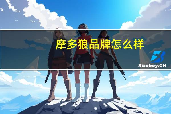 摩多狼品牌怎么样