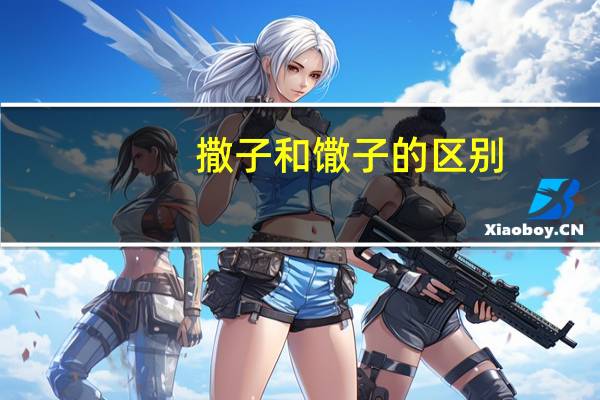 撒子和馓子的区别