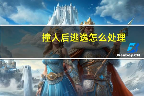撞人后逃逸怎么处理