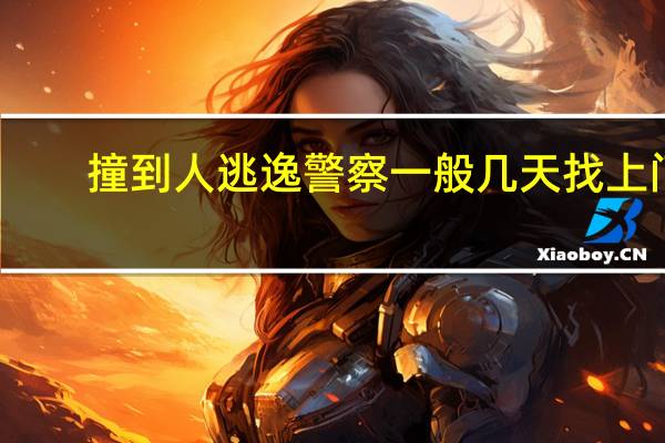 撞到人逃逸警察一般几天找上门