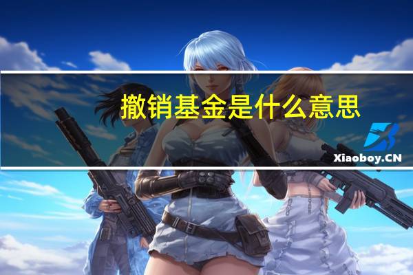 撤销基金是什么意思