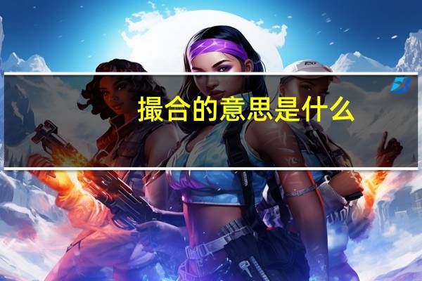 撮合的意思是什么
