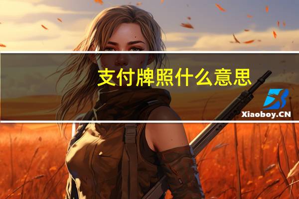 支付牌照什么意思