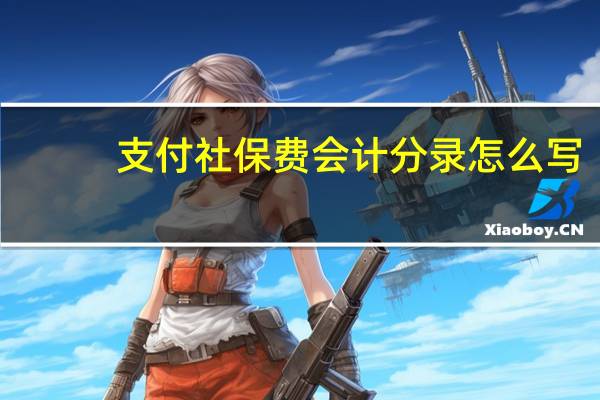 支付社保费会计分录怎么写