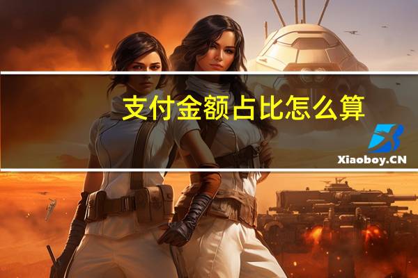 支付金额占比怎么算