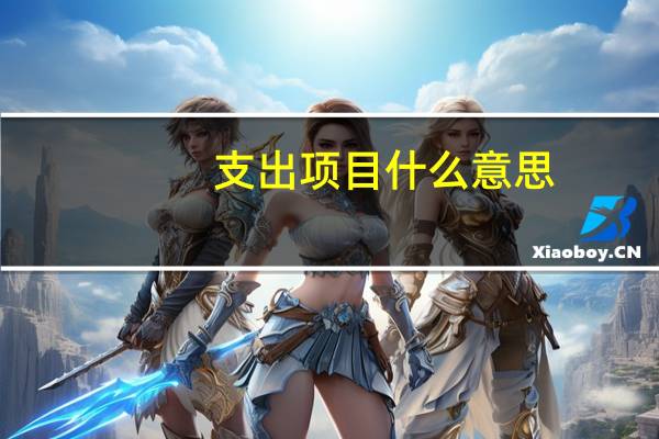 支出项目什么意思