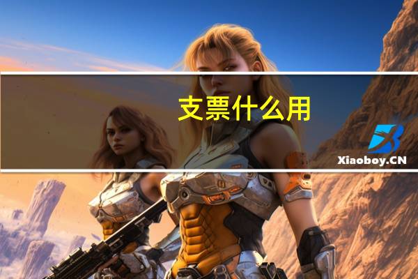 支票 什么用