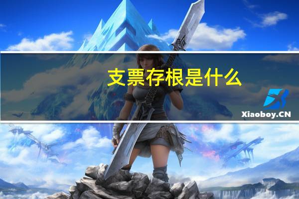 支票存根是什么