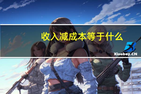 收入减成本等于什么