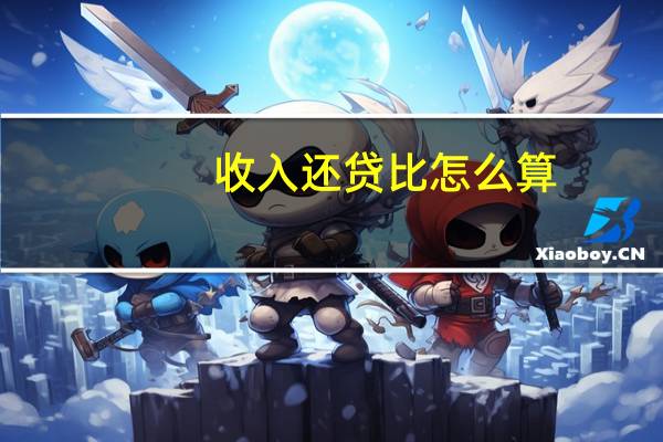 收入还贷比怎么算