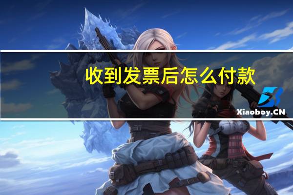 收到发票后怎么付款
