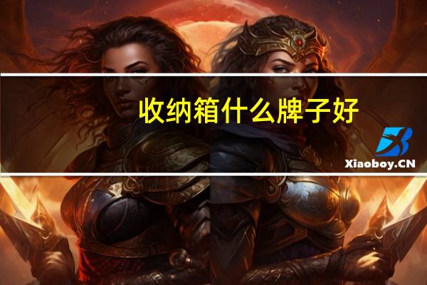 收纳箱什么牌子好