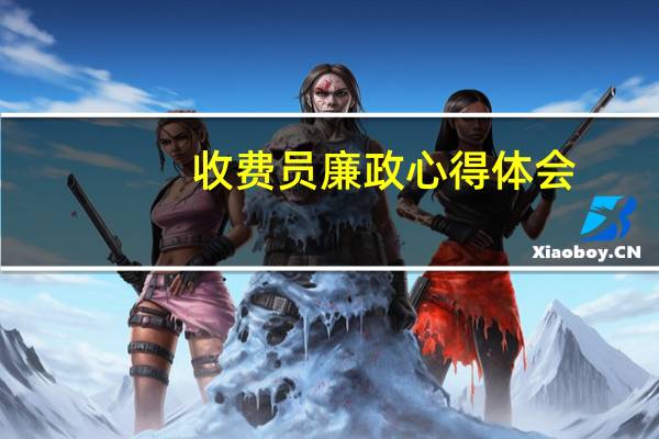 收费员廉政心得体会