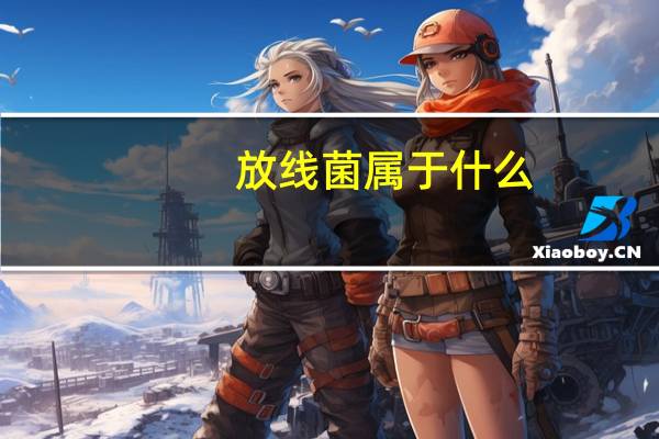 放线菌属于什么