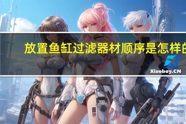 放置鱼缸过滤器材顺序是怎样的