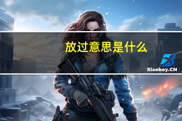 放过意思是什么