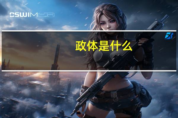 政体是什么