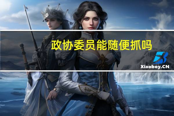 政协委员能随便抓吗