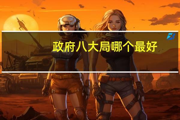 政府八大局哪个最好